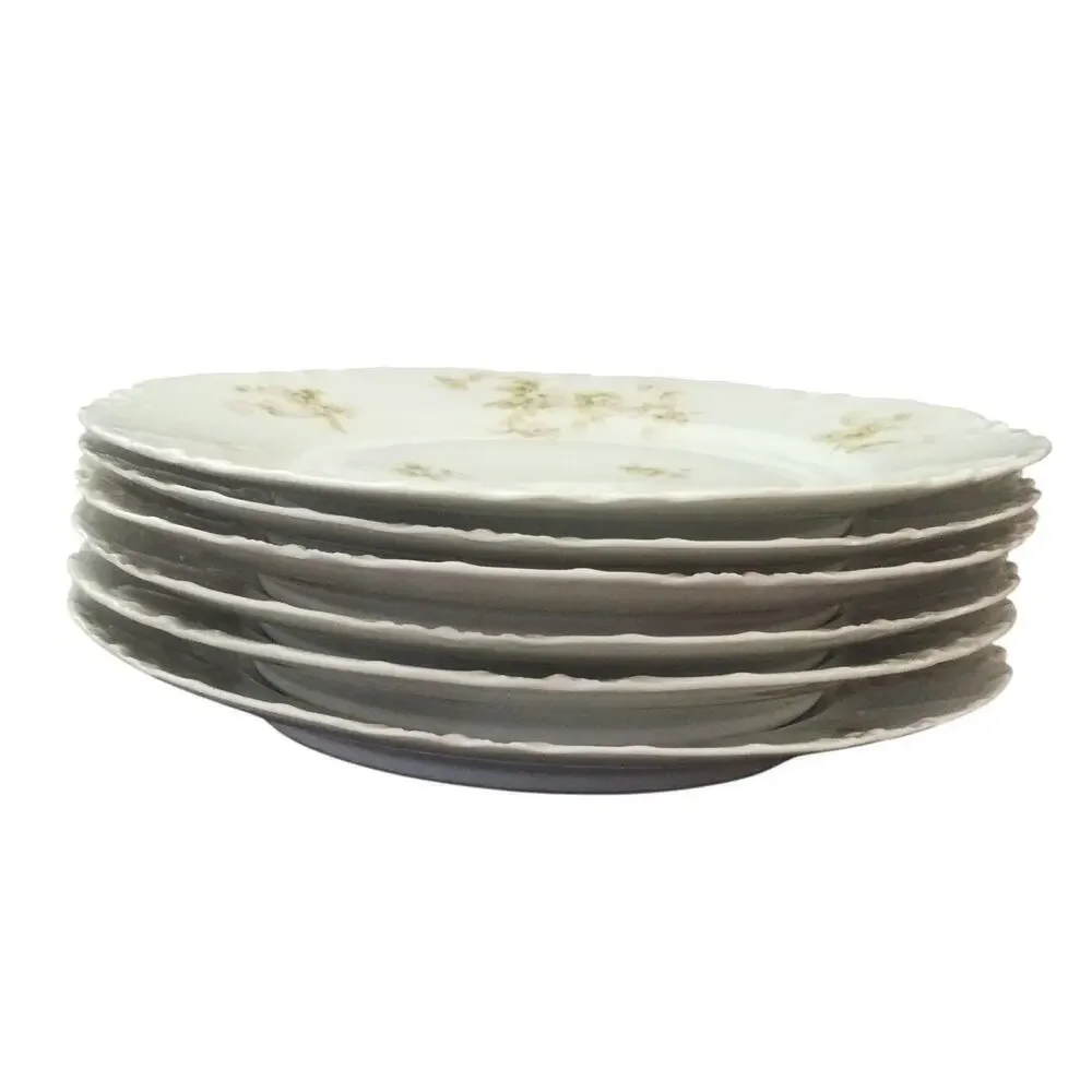 Limoges vintage theodore